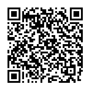 我感觉好像长生是送了一条什么虫子进去将冰针的水吸干又拉了出来二维码生成