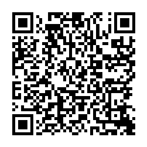 我没想到特雷西会提出这么疯狂的计划――让我先给你介绍一下整件事的背景吧二维码生成