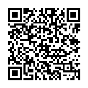 我的建议就是马上从濒临破产的红河当中抽身而出二维码生成