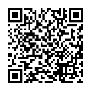 我还以为他们都将搜刮来的民脂民膏都挥霍干净呢二维码生成