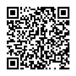 或是很少出镜机会的龙套演员们才会来参加的选秀活动呢二维码生成