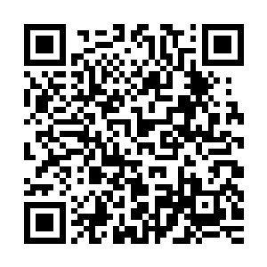 或许爷爷会提出让燕城君氏集团和北城君氏集团合并为一个公司二维码生成