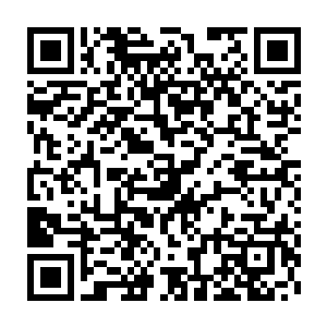 所以他真的没有想到木萦会在短短五天内就把所有的材料都用完了二维码生成