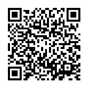 所以在市委常委和副市长们纷纷就自己分管工作谈了想法之后二维码生成