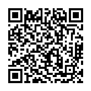 所以奈瑟斯此刻几乎已经失去了任何攻击或者行动的能力二维码生成