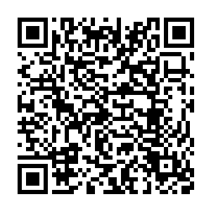 所以她只能够用仙帝初期的修士配合着火之剑意大圆满来对抗树妖二维码生成