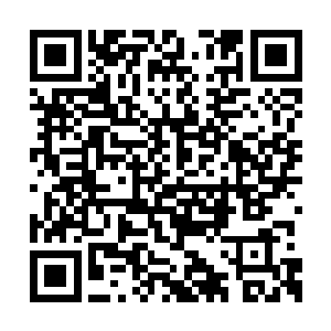 所以她的声音可以透过屏障直接穿透到战场内部二维码生成