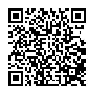 所以妮娜十分强硬地让他们硬是多留了一天之后才启程返回希腊二维码生成