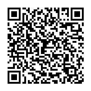 所有的日本附近产的金枪鱼那价格直接从两个月前上跳了百分之十五二维码生成