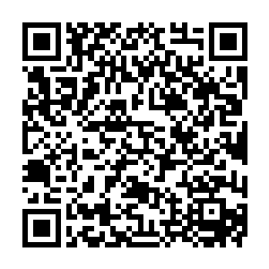 才会让那原本会被晦暗之力吞噬和克制的火焰力量反过来吞噬大阵中的晦暗之力二维码生成