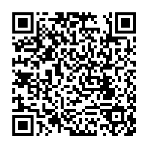 托比的娃娃脸和表演天赋方面的限制还是让他难以有更进一步的突破二维码生成