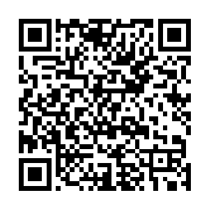 把带我们来的那人直接的给吓的再次连滚带爬的出了正房二维码生成