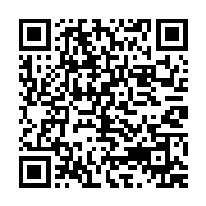 拳头公司的人开始给LH战队的六个人带上代表荣誉的总冠军项链二维码生成