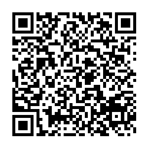 排球以一个向下的十分刁钻的角度重重的射向了诺维斯基身后的地面二维码生成