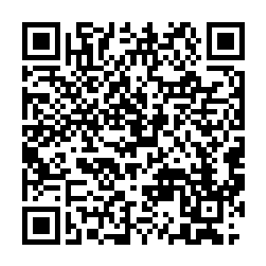 接下来的一整天的时间龙傲天都在陪着紫明月和碧儿逛基地之中度过二维码生成