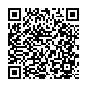 接二连三的守旧派势力以及满清亲贵陆续站出来请求处置张毅二维码生成