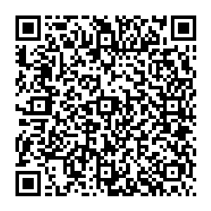 接到传音符后――从驭兽峰回来的路上她和叶蕊给二哥发了消息――就一直在院里焦急地来回踱步等待她们二维码生成