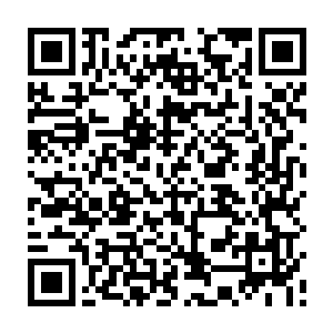 改革开放带来的外来思想能够凭借着资本的力量迅涤dang一切落后愚昧的东西二维码生成