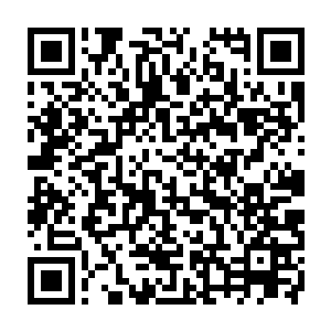 故意给自己的回报还是他真的想用这种方式表达乌克兰应该完全放弃武力的态度二维码生成