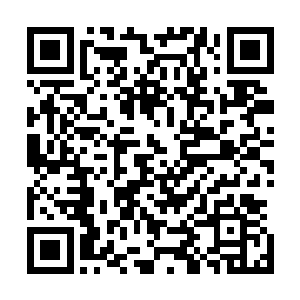 数百名妖怪站在壁上如同纤夫一般撕扯着缰绳一声声地呦呵二维码生成