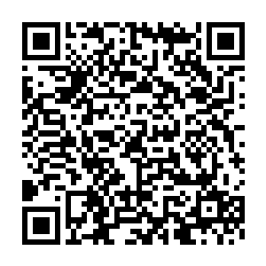 整个做了整整两个小时先后分几拨才把各种各样的调味材料放了进去二维码生成