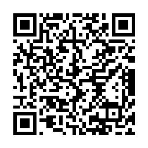 是因为要帮我们排练在校内元旦晚会上面表演的青春歌舞剧二维码生成