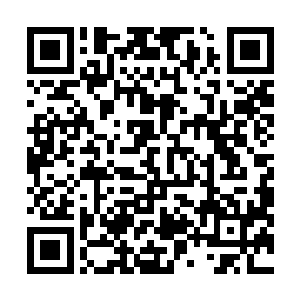 更何况拥有三生石的孙子轩以后可能会是他们的合作伙伴二维码生成