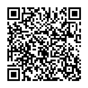 最后一股力量游到张铁识海之中那个代表精神力的淡金色气旋之中二维码生成