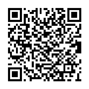 最高也勉强只有仙宫三分之一丑陋至极的巢穴上二维码生成