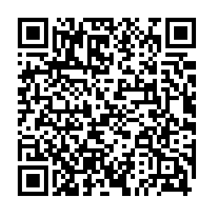 有鉴于AI建造的东西质量都极高……这些管道几乎一年到头都是空的二维码生成