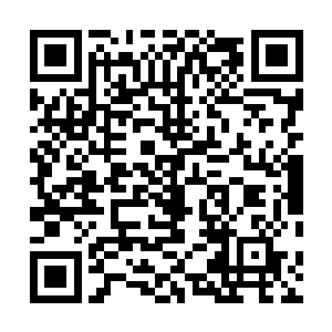 望向下面的造化青莲的目光中也是充满了志在必得的神情二维码生成