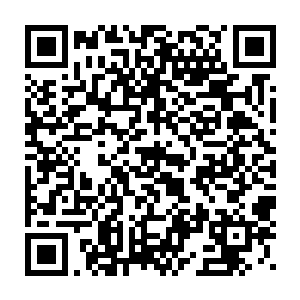 本来只能修炼到金丹期的冰眼火焰蛇他却能修炼到一种至高的境界二维码生成