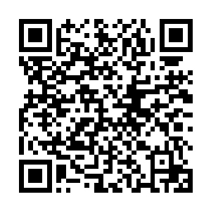 本来已经有些烦躁的戚如飞忽然见到周紫衣这样的变化二维码生成