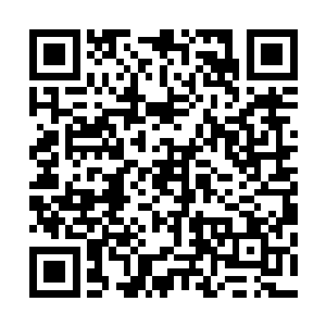 本皇可不会让你将全部的元神之力用来解除本皇的魅惑种子二维码生成