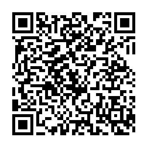 朱云和她的本命灵兵已经融合进化成为了一件五十四层禁制的法宝二维码生成