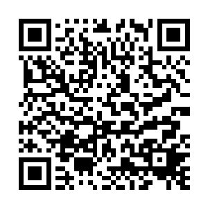 朱平安又令一名衙役去请一名擅长治疗外伤的大夫去驿馆二维码生成