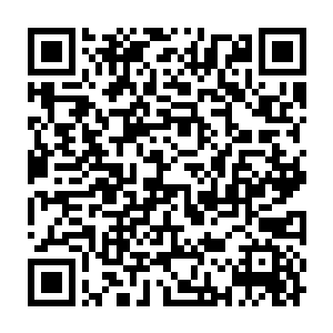 杜若已经其他一些名声不显但实力超强的天才算是第二阶梯的强者二维码生成