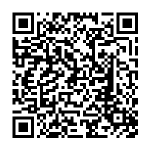 杨晨或许是打算躲在中华玄学门户网公司里面等到修为恢复这才离开二维码生成