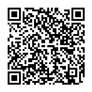 林烽依靠飞剑的巡查在高空当中很难发现那些潜伏进来的超能力者二维码生成