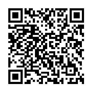 梓箐用神识将周围情况全部查探清楚周围的情况二维码生成