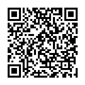 楚暮只感觉从那灰白sè剑形光芒之中炸开一道恐怖的声音二维码生成