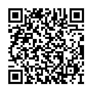 正在感悟着从此山之上散发出来的道道神圣之光二维码生成