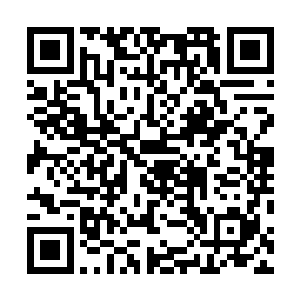 正式演出是周芳学校在区里租的一个体育场大礼堂内进行二维码生成