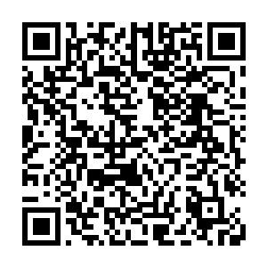 正是九个九星圣级巅峰强者构建的邪龙屠圣阵发挥出威力攻击楚暮的最好时机二维码生成