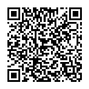 此刻他源自于蜘蛛基因的超强本能正在不断地警告他致命的危险正在靠近二维码生成