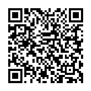 此刻已经身在雄狮要塞的镇魔大将军独孤意也听说了这次赌约二维码生成