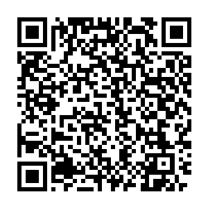 此刻我是庆幸不已我有储物戒终是把桌面上全部物件都瞬间收入储物戒二维码生成