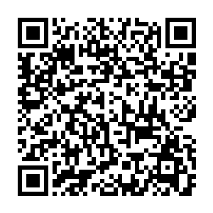 此刻正哼哼唧唧得抱着小毛毯在青君那整洁无比的加重地板上打滚二维码生成