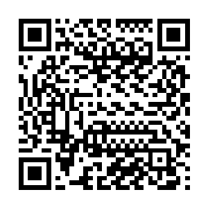 求红票――――――――――――――――――――――二维码生成