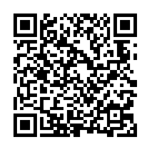 沈喜臻当日交给这些学员的队长的信也是时候拆开来看了二维码生成